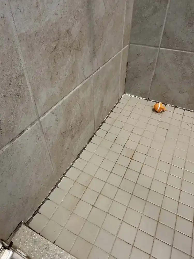 Bathroom tile cleaning before cleaning